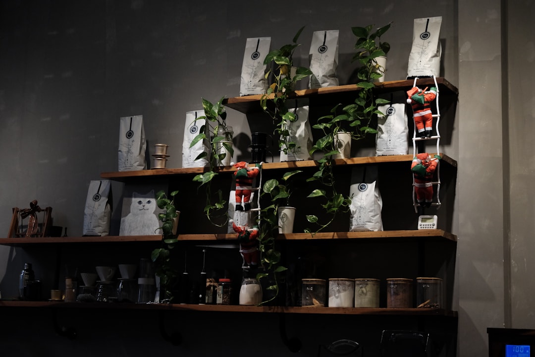 Shelves display plants and various items.