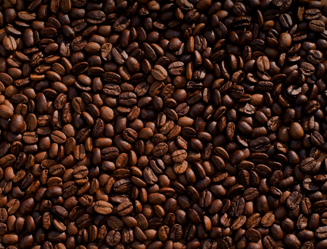 Close-up overhead view of a dense pile of glossy, medium-to-dark roasted whole coffee beans filling the frame