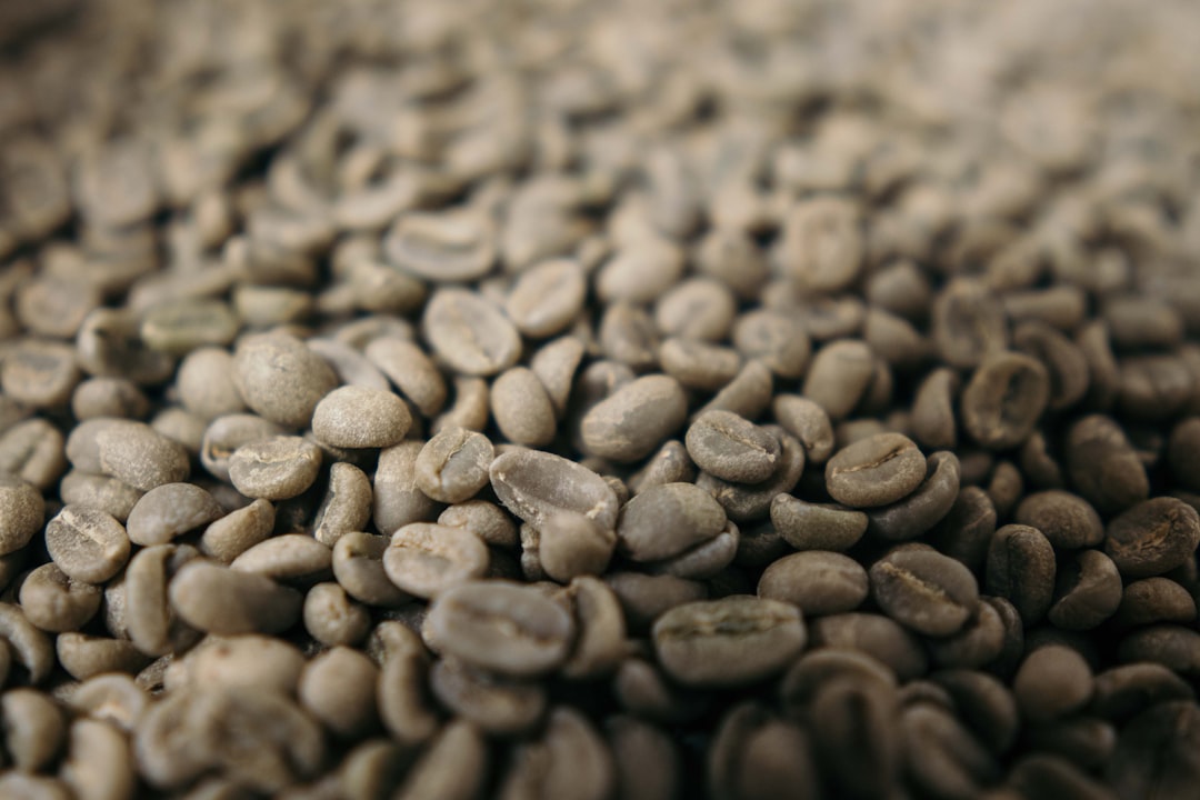 Close-up pile of raw green coffee beans before roasting, the commodity traded on the C-market