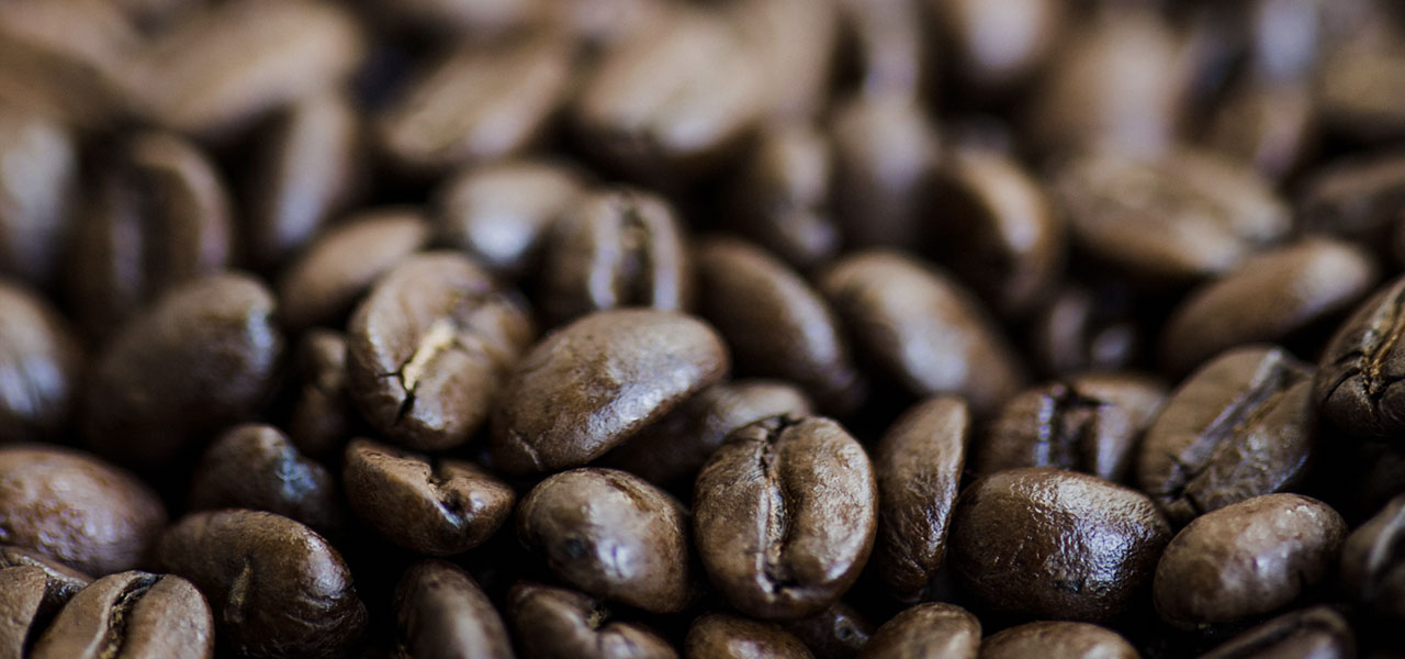 Fresh roasted coffee beans ready to grind
