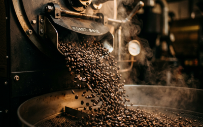 Stale vs. Fresh: Why Your Cup Is Losing the Fight